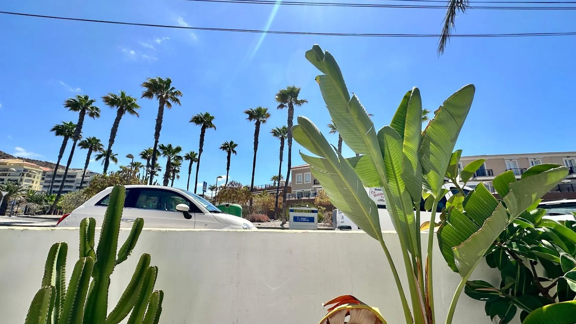 Travelingdays Hibiscus Apartment Palm-mar